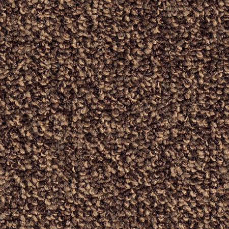картинка Ковролин Balsan Centaure Deco 788 Moka магазин  Carpet-Center.ru являющийся официальным дистрибьютором в России