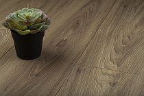 Ламинат Kronopol Platinium Milo D3712 Athena Walnut Oak от магазина  Carpet-Center.ru