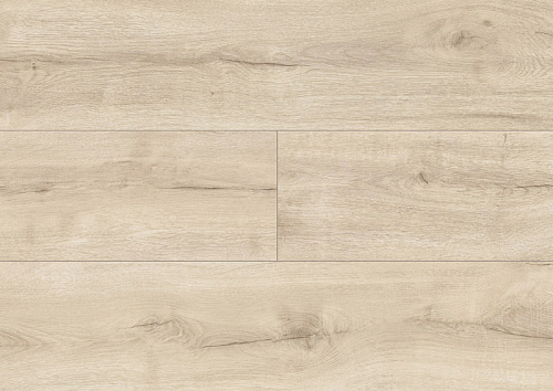 картинка Ламинат Kronopol Platinium Terra D4924 Champs-Elysees Sycamore магазин  Carpet-Center.ru являющийся официальным дистрибьютором в России