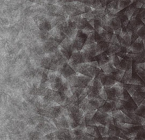 Флокированное ковровое покрытие Forbo Flotex by Starck 322008 Artist anthracite / silver B2 от магазина  Carpet-Center.ru