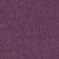 Ковровая плитка INTERFLOOR First 16 от магазина  Carpet-Center.ru