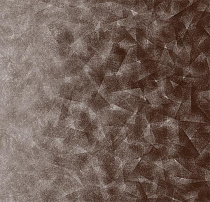 Флокированное ковровое покрытие Forbo Flotex by Starck 322009 Artist umber / taupe B2 от магазина  Carpet-Center.ru