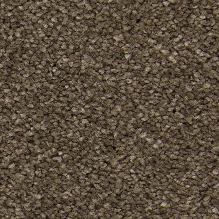 картинка Ковролин Balsan Idylle 750 Instant магазин  Carpet-Center.ru являющийся официальным дистрибьютором в России
