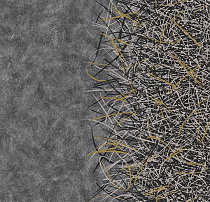 Флокированное ковровое покрытие Forbo Flotex by Starck 312006 Vortex gold A2 от магазина  Carpet-Center.ru