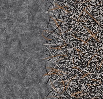 Флокированное ковровое покрытие Forbo Flotex by Starck 312003 Vortex terracotta A2 от магазина  Carpet-Center.ru
