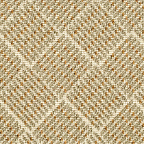 Ковролин ФэнсиЛум Allure D074/1987 от магазина  Carpet-Center.ru