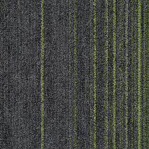 Ковровая плитка INTERFLOOR First 555D от магазина  Carpet-Center.ru