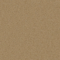 Ковровая плитка INTERFLOOR First 14 от магазина  Carpet-Center.ru