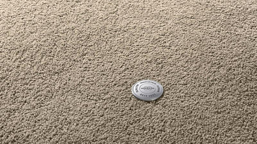 картинка Ковролин Vorwerk Superior 1065/Viola(2020) 8H50 магазин  Carpet-Center.ru являющийся официальным дистрибьютором в России