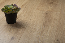 Ламинат Kronopol Platinium Zodiak D4571 Virgo Oak от магазина  Carpet-Center.ru