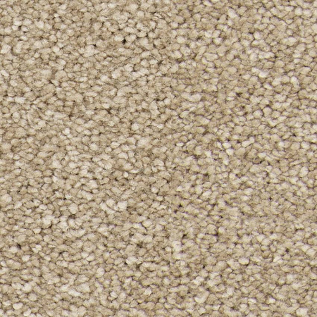 картинка Ковролин Balsan Idylle 710 Duvet магазин  Carpet-Center.ru являющийся официальным дистрибьютором в России