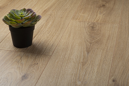  Ламинат Kronopol Platinium Zodiak D4571 Virgo Oak от магазина  Carpet-Center.ru
