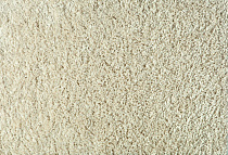 Ковролин Balta Euphoria 640 от магазина  Carpet-Center.ru