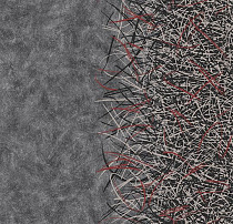 Флокированное ковровое покрытие Forbo Flotex by Starck 312002 Vortex ruby A2 от магазина  Carpet-Center.ru