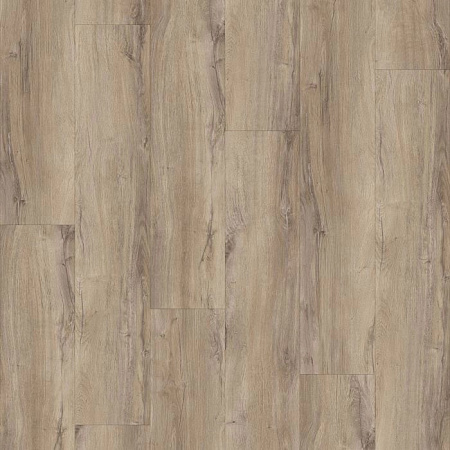 картинка LVT плитка Apoluza Wood Meadow Oak магазин  Carpet-Center.ru являющийся официальным дистрибьютором в России