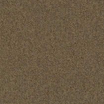 Ковровая плитка INTERFLOOR First 13 от магазина  Carpet-Center.ru