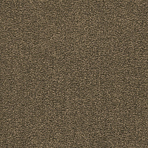 Ковровая плитка Desoma Spring 06 от магазина  Carpet-Center.ru