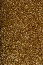 Ковролин Bonkeel Gleam Mustard от магазина  Carpet-Center.ru