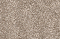 Ковролин Vorwerk Lyrica 8C39 от магазина  Carpet-Center.ru