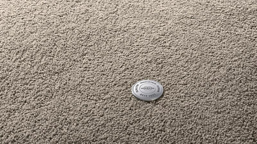 картинка Ковролин Vorwerk Superior 1065/Viola(2020) 5X89 магазин  Carpet-Center.ru являющийся официальным дистрибьютором в России