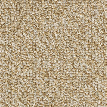 картинка Ковролин Balsan Centaure Deco 648 Noisette магазин  Carpet-Center.ru являющийся официальным дистрибьютором в России