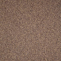 Ковролин Balsan Centaure Deco 778 Ecureuil от магазина  Carpet-Center.ru